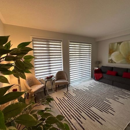 Modern Townhouse, Vaughan, Ontario, Canada Экстерьер фото